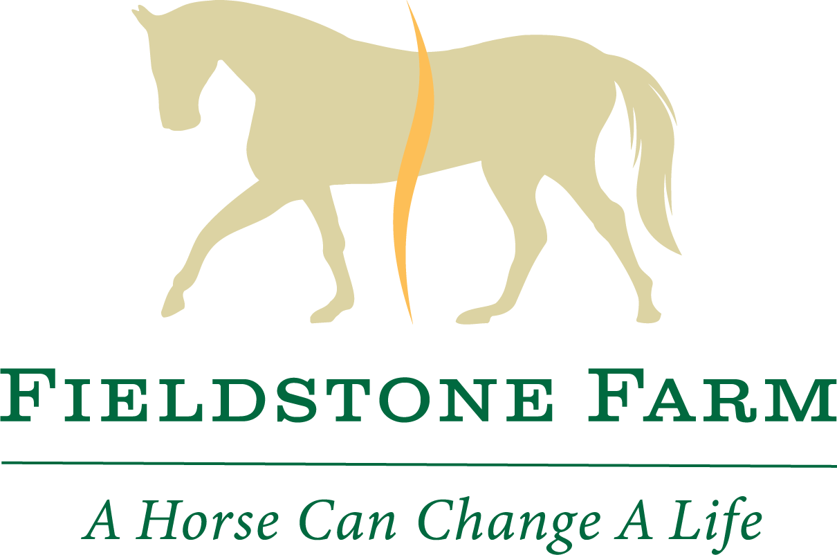 Equine Therapy for Veterans at Fieldstone Farm